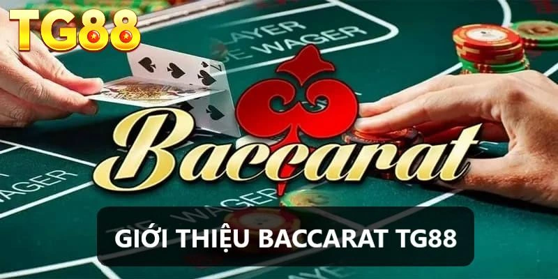 baccarat tg88